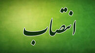 چه کسی معاون امور اجتماعی و فرهنگی منطقه ۷ شهرداری تهران شد؟