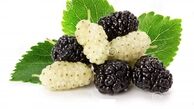 توصیه مصرف توت به افراد لاغر