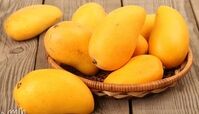 17 مورد از خواص انبه زرد برای بدن
