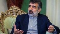  به خاطر پسرم پرسپولیسی هستم