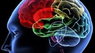 ۴۴ میلیون مبتلا به آلزایمر در دنیا