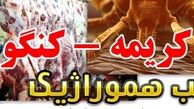 کشتار دام در کشتارگاه زمینه ریشه کن شدن بیماری مهلک تب کریمه کنگو