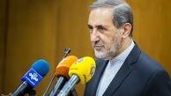 واکنشها به سخنان اخیر ولایتی در آسیب شناسی تجربه «برجام»