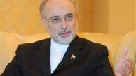 صالحی: اورانیوم غنی شده را با کیک زرد مبادله می‌کنیم