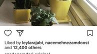 روح زندگی آزاده نامداری در خانه اش+عکس