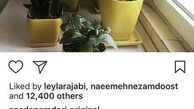 روح زندگی آزاده نامداری در خانه اش+عکس