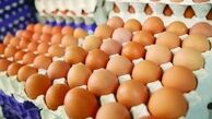 ترویج مصرف تخم مرغ در مدارس!