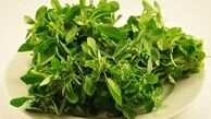 شنبلیله گیاهی دارویی با خواصی معجزه آسا 