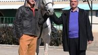 سردار آزمون برای قهرمانی اسبش به ایران می‌آید