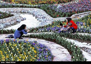 139401161139201765044214