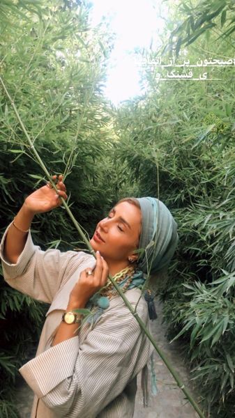 حال خوب شبنم قلی خانی در دل جنگل + عکس