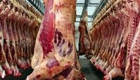 نبود شفافیت و کاهش ارز ترجیحی باعث افزایش قیمت گوشت و مرغ شد