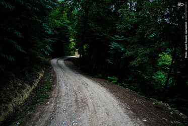 resized_1144754_878