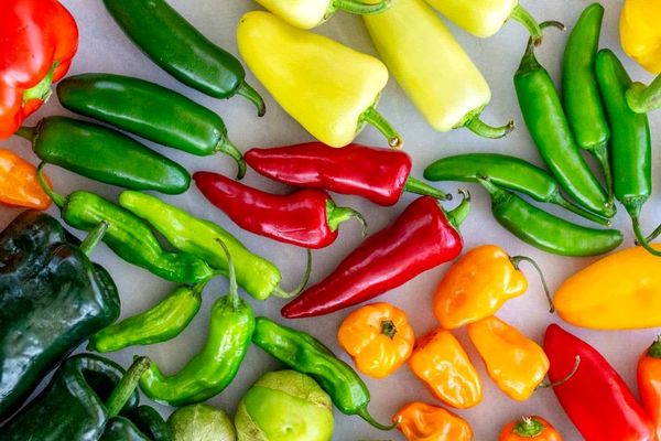 فلفل سبز تند بخوریم یا شیرین