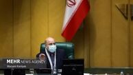 کمیسیون کشاورزی موضوع خرید و واردات گوشت را بررسی کند