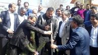 دایی: مرد اوست که از جیب خود خرج کند نه دیگران