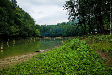 resized_1144775_703
