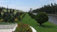 وضعیت نامطلوب فضای سبز تهران