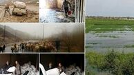 جزئیات میزان خسارت سیل و نحوه جبران آن در بخش کشاورزی کشور