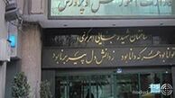 جزئیات حادثه جان باختن «دنیا ویسی» !