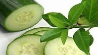 تاثیر خیار بر دفع سنگ کلیه 