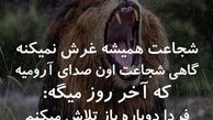 شجاعت شهره لرستانی