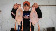 گوشت شکار با طعم آنفولانزا + تصاویر