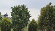 بادکنک بازی دختر بازیگر هم گناه + عکس