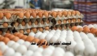 قیمت  تخم‌ مرغ گران شد ! 